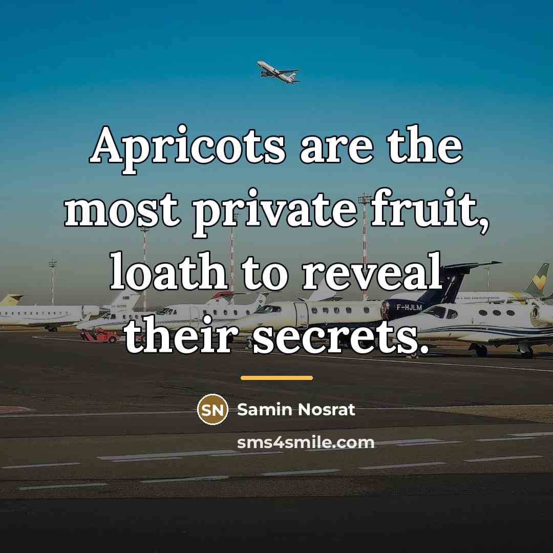 “Apricots are the most private fruit, loath to reveal their…” quote by Samin Nosrat