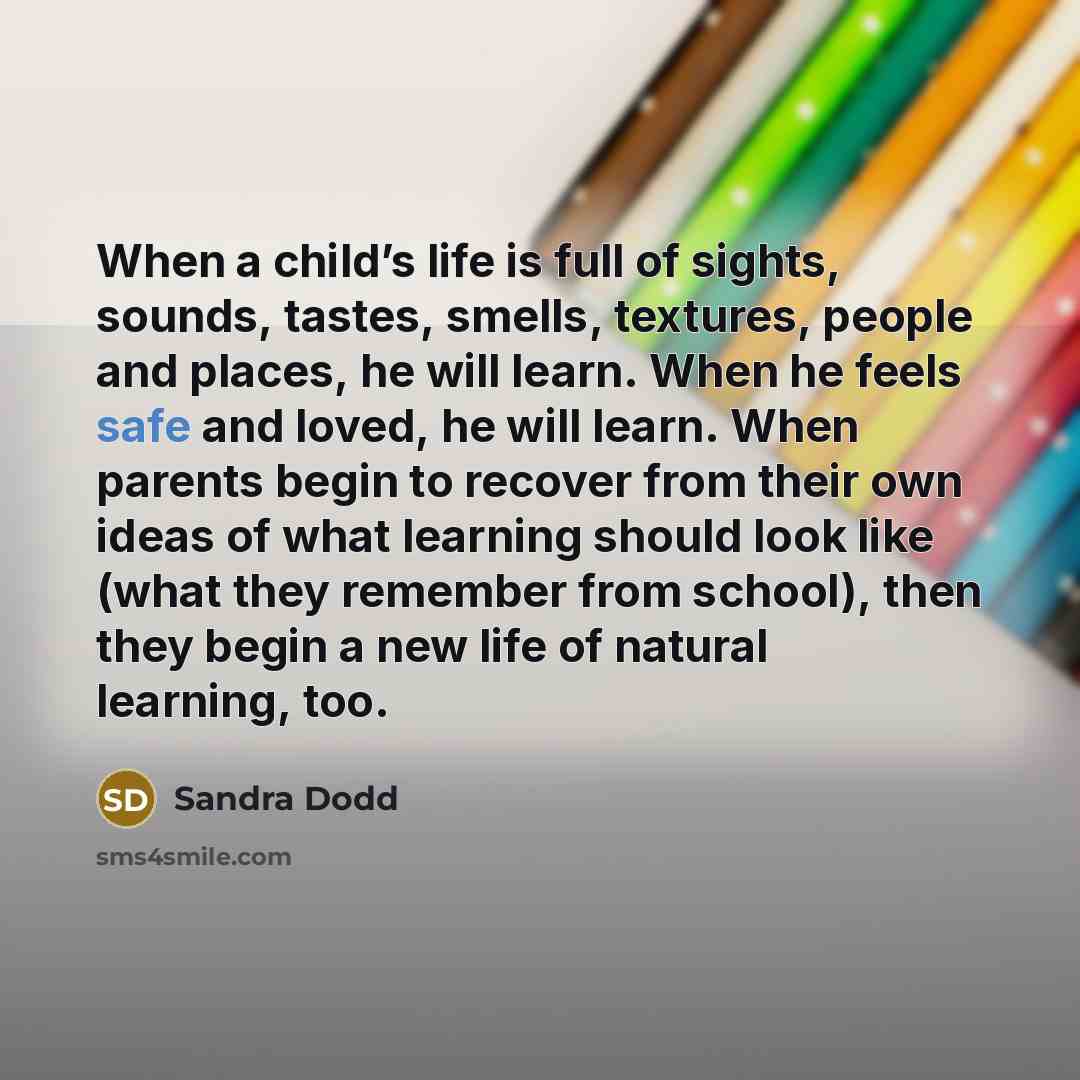 “When a child’s life is full of sights, sounds, tastes,…” quote by Sandra Dodd