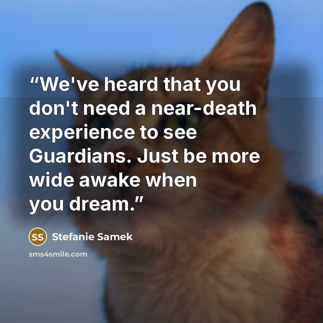“We've heard that you don't need a near-death experience to see Guardians. Just be more wide awake when you dream.” quote by Stefanie Samek