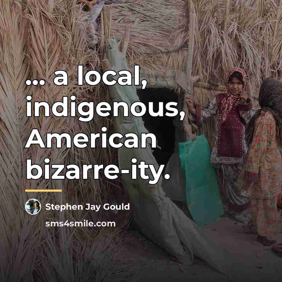 “... a local, indigenous, American bizarre-ity.…” quote by Stephen Jay Gould
