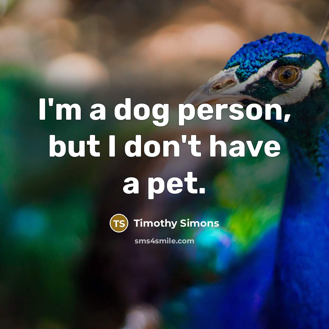 “I'm a dog person, but I don't have a pet.” quote by Timothy Simons