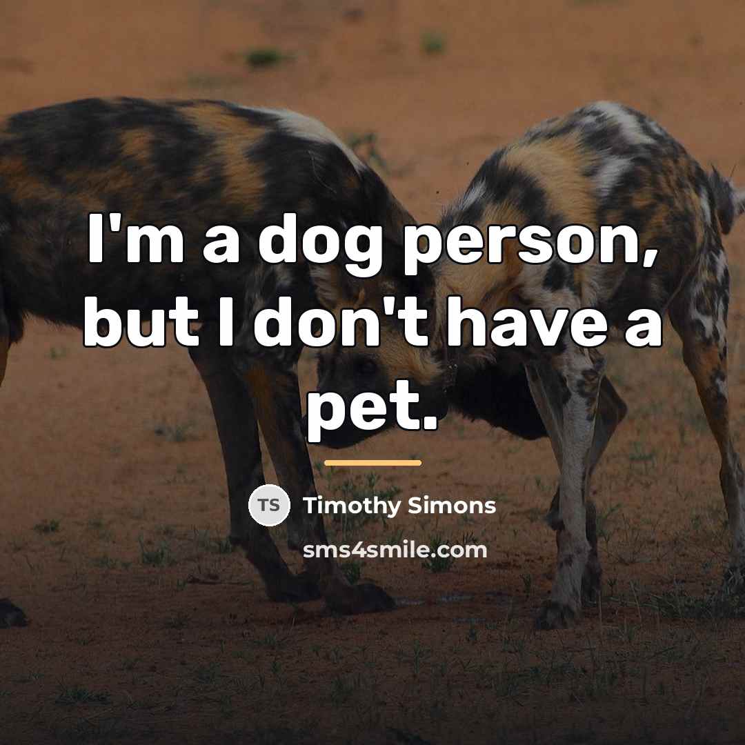 “I'm a dog person, but I don't have a pet.…” quote by Timothy Simons
