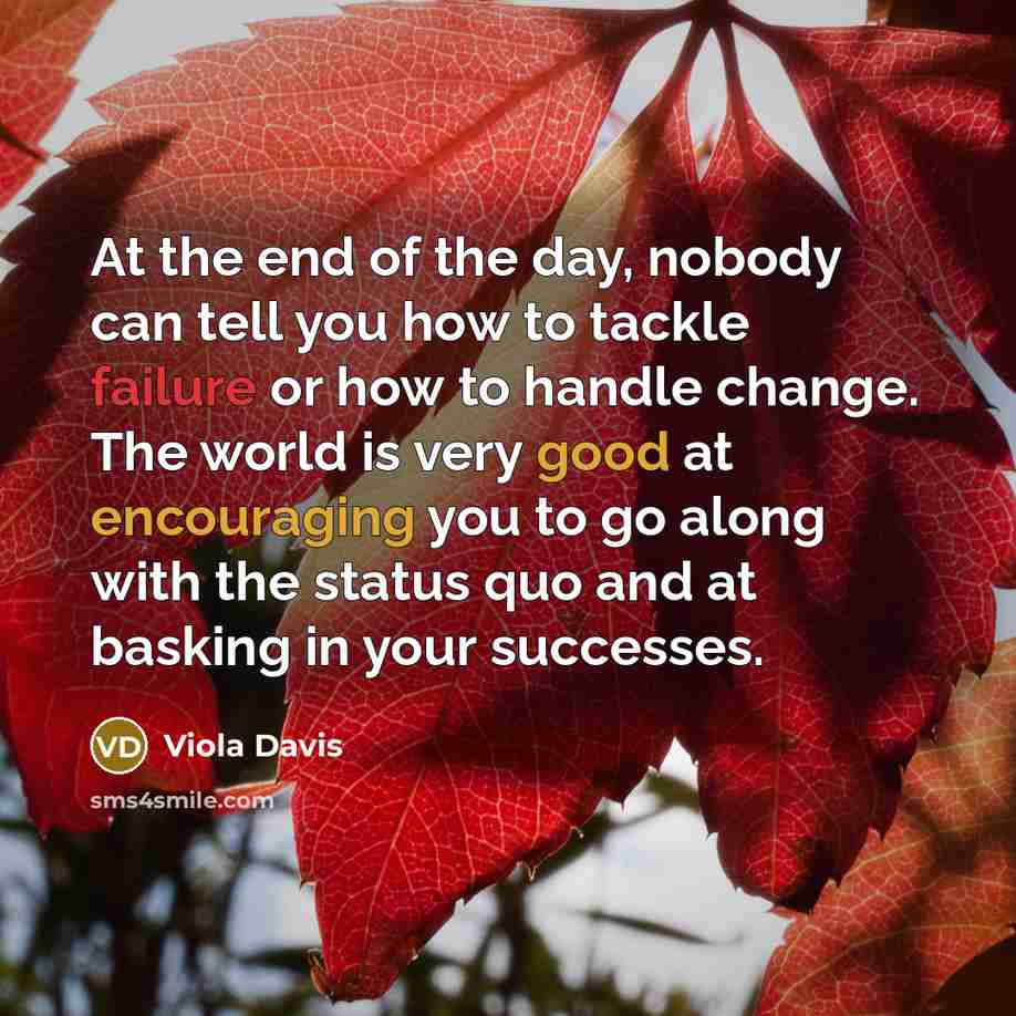 “At the end of the day, nobody can tell you…” quote by Viola Davis