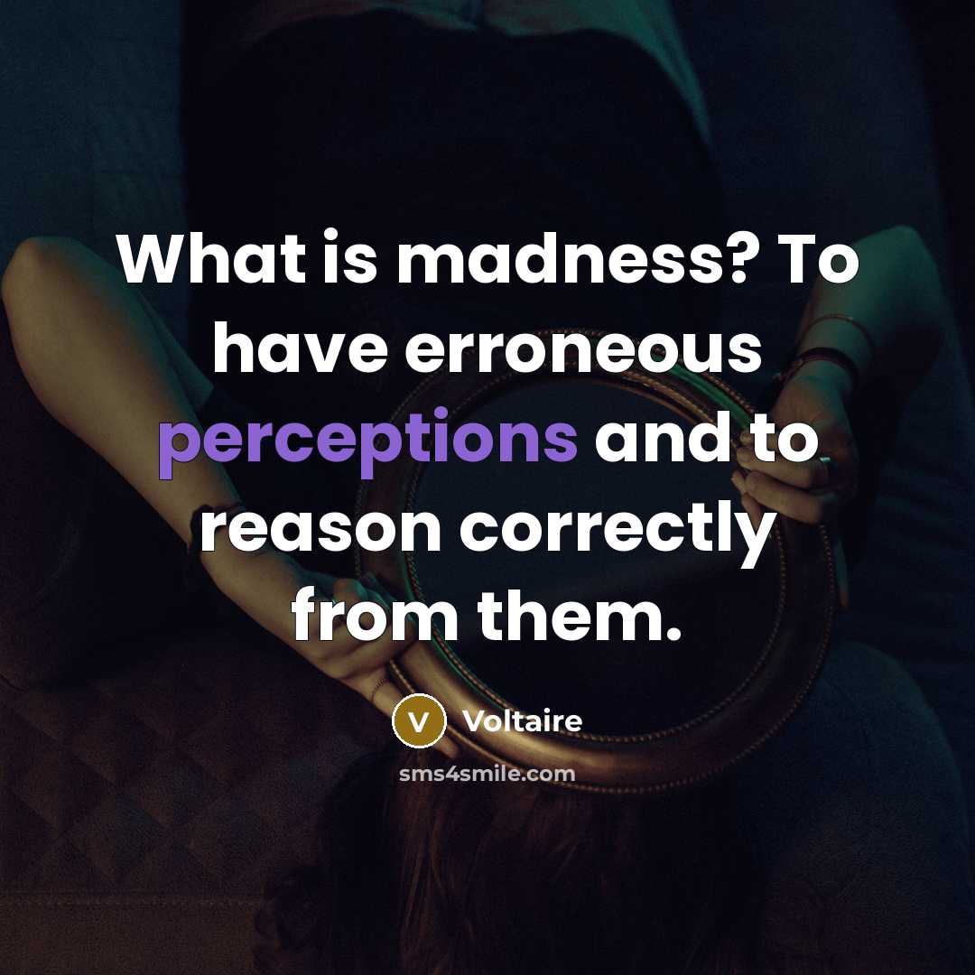 “What is madness? To have erroneous perceptions and to reason correctly from them.” quote by Voltaire