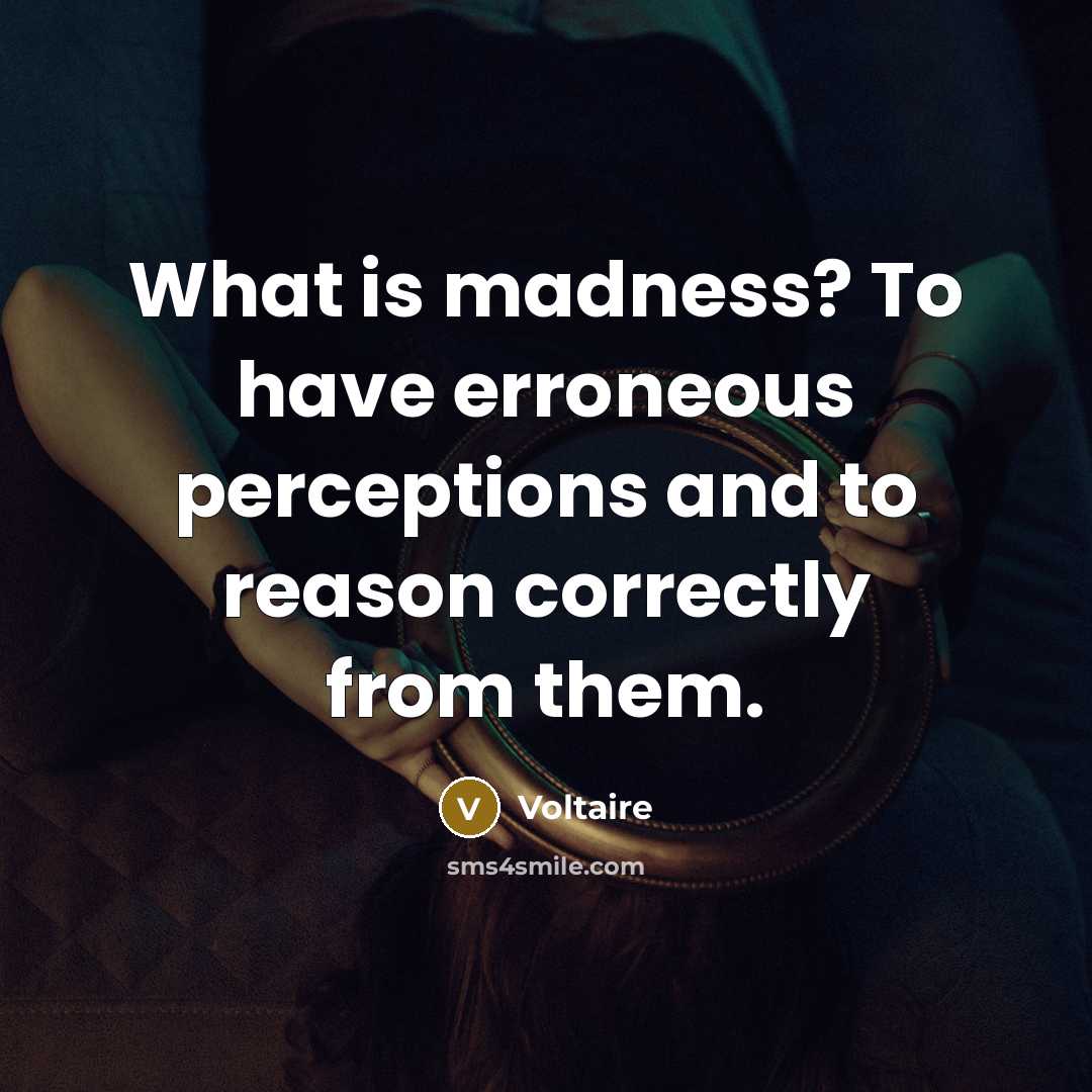“What is madness? To have erroneous perceptions and to reason…” quote by Voltaire