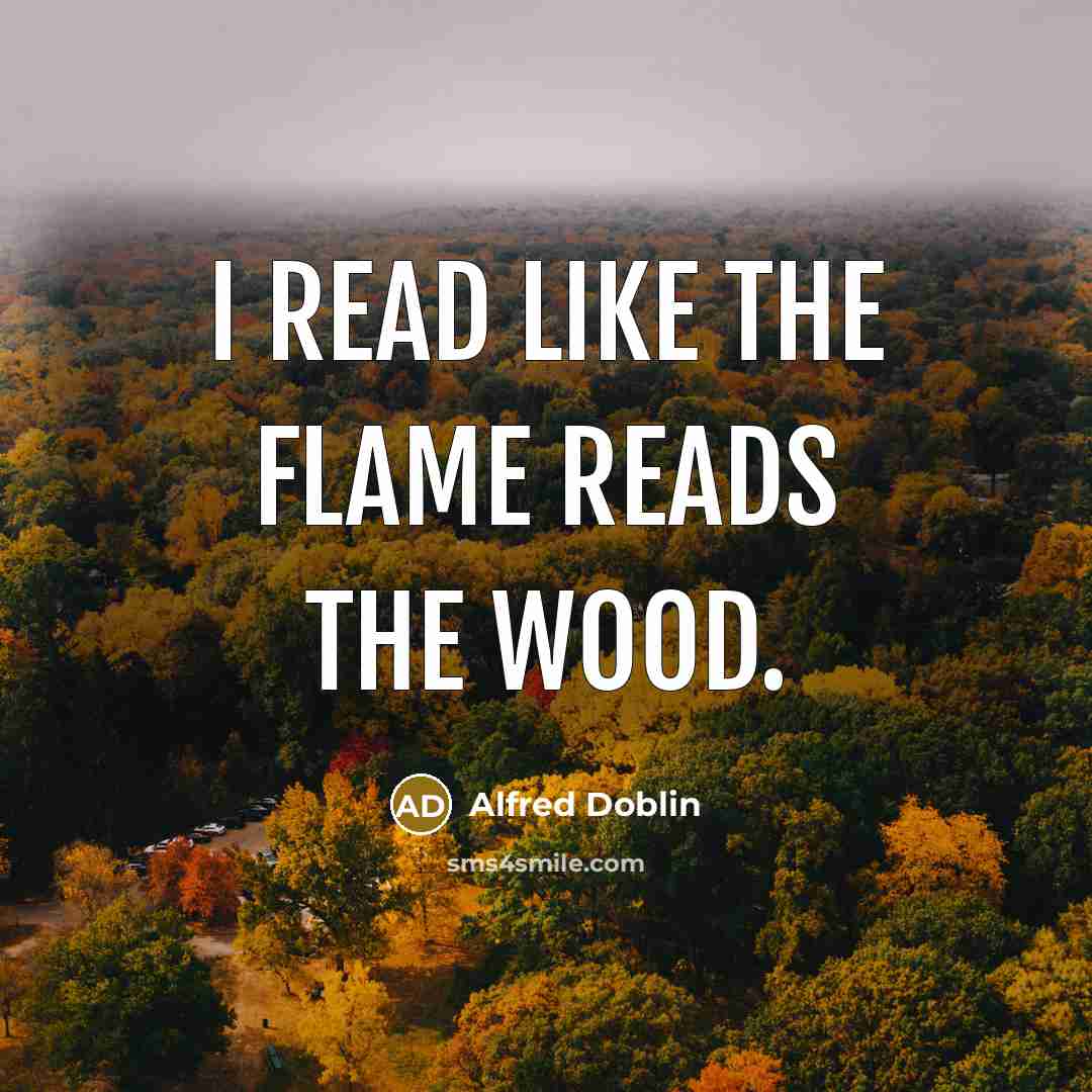 “I read like the flame reads the wood.…” quote by Alfred Doblin
