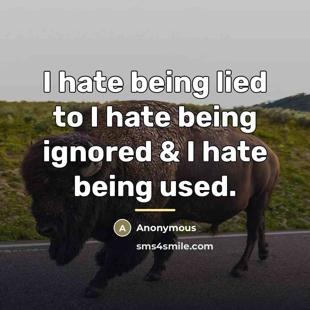 “I hate being lied to I hate being ignored &…” quote by Anonymous