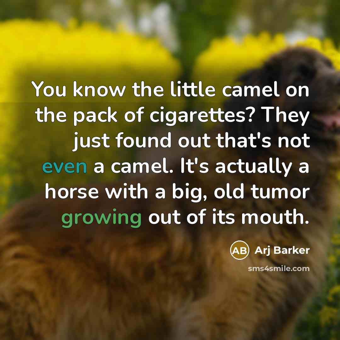 “You know the little camel on the pack of cigarettes?…” quote by Arj Barker