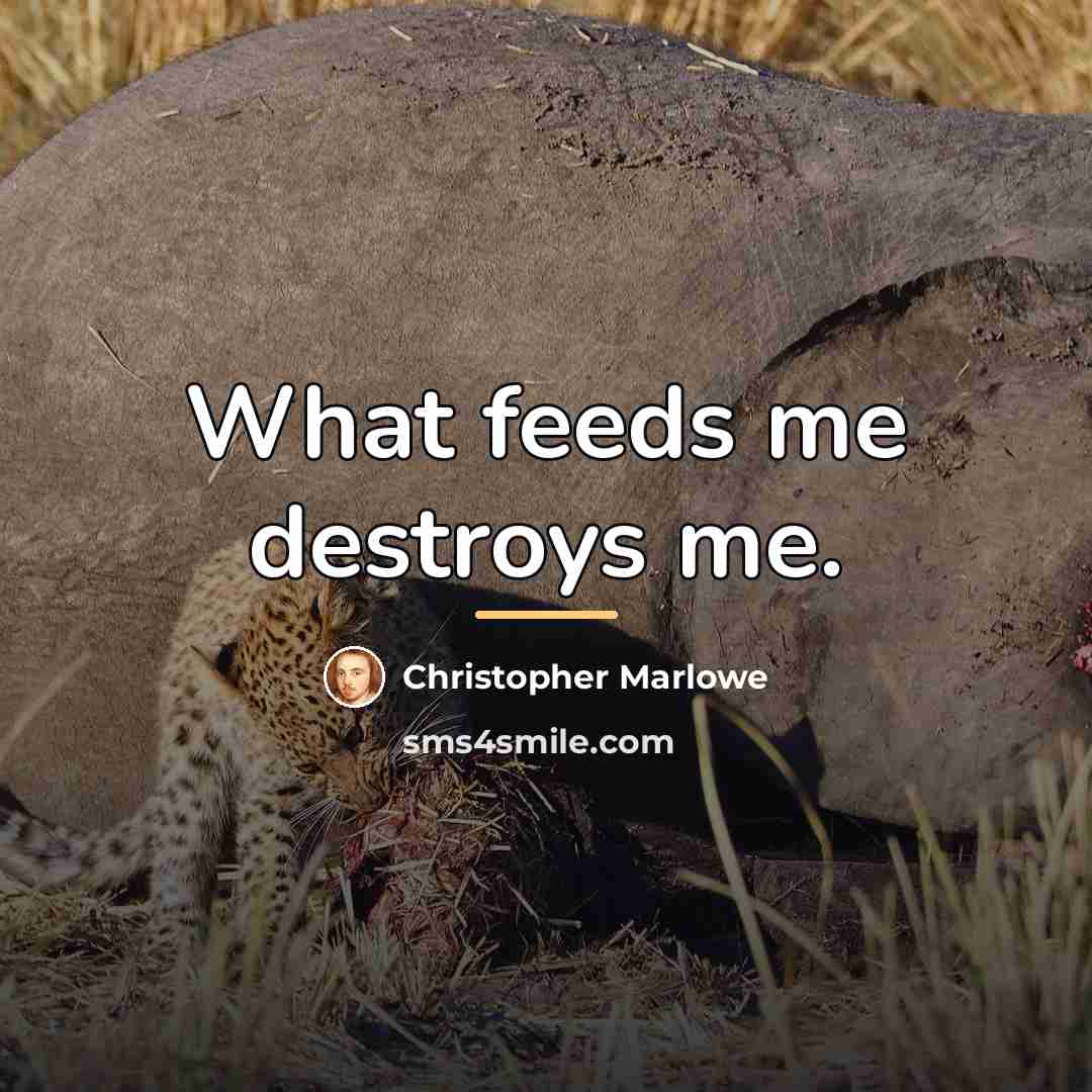 “What feeds me destroys me.…” quote by Christopher Marlowe