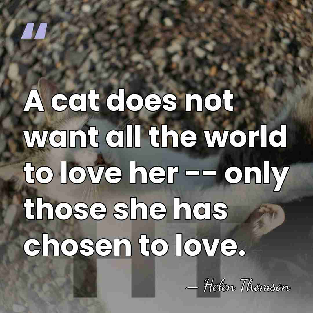 A cat does not want all the world to love her --&hellip; - Helen Thomson