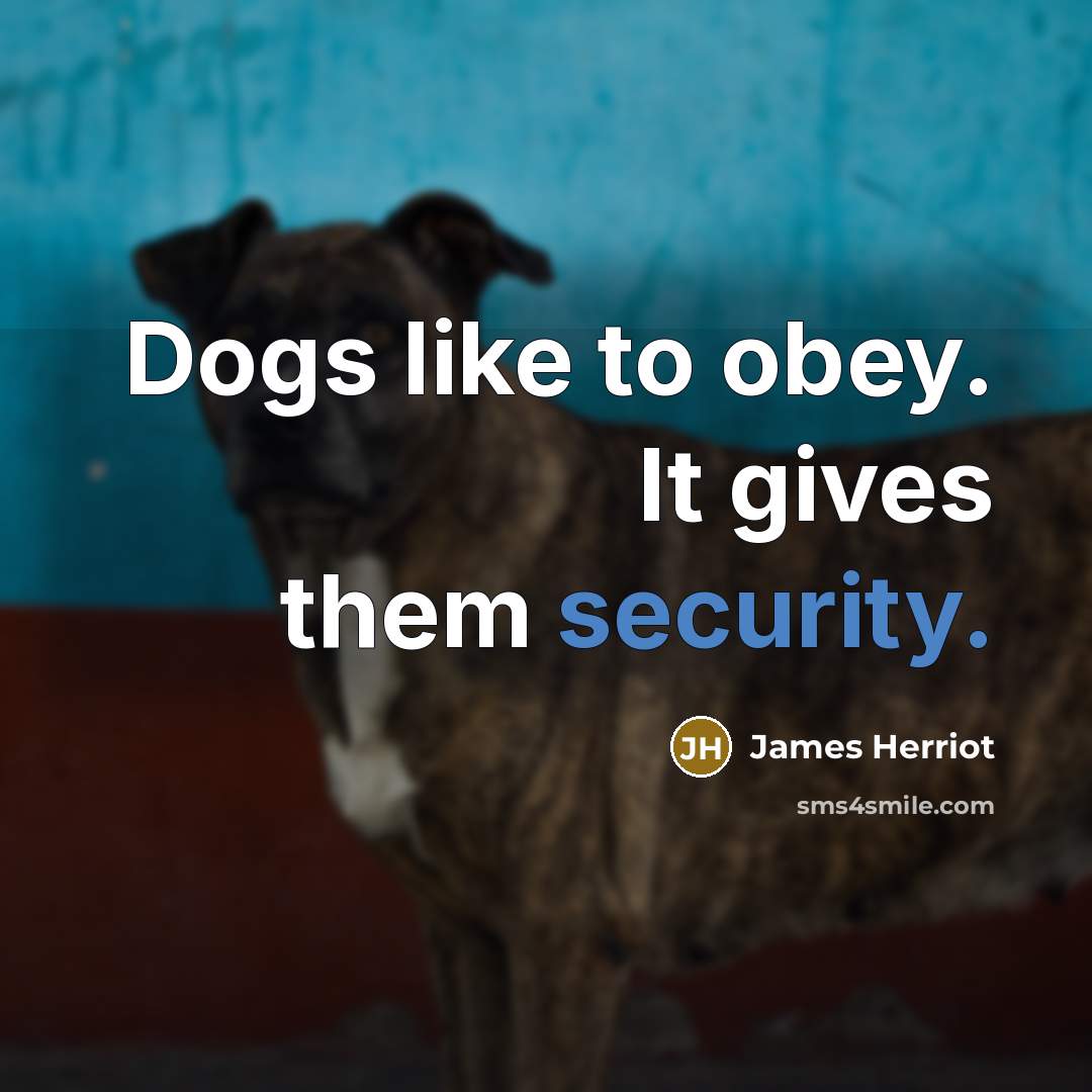 “Dogs like to obey. It gives them security.…” quote by James Herriot