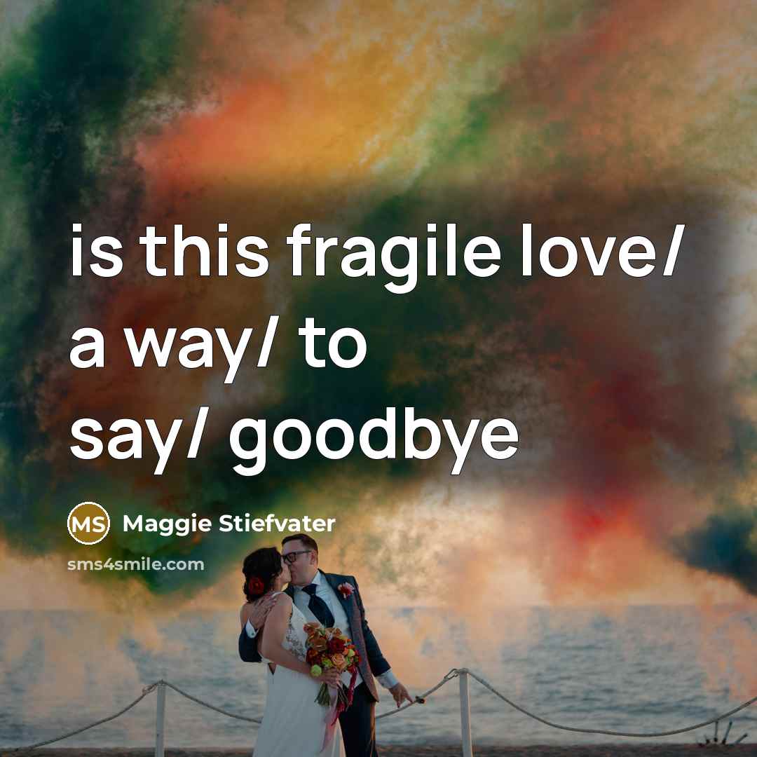 “is this fragile love/ a way/ to say/ goodbye” quote by Maggie Stiefvater