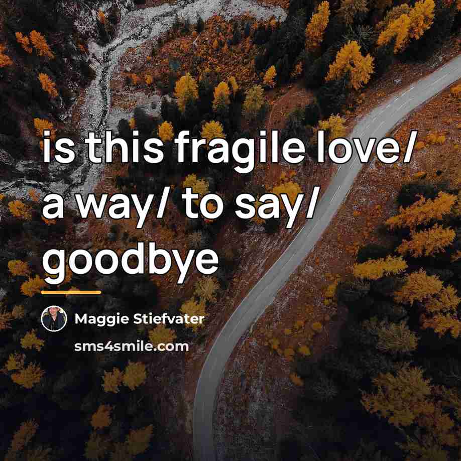 “is this fragile love/ a way/ to say/ goodbye…” quote by Maggie Stiefvater