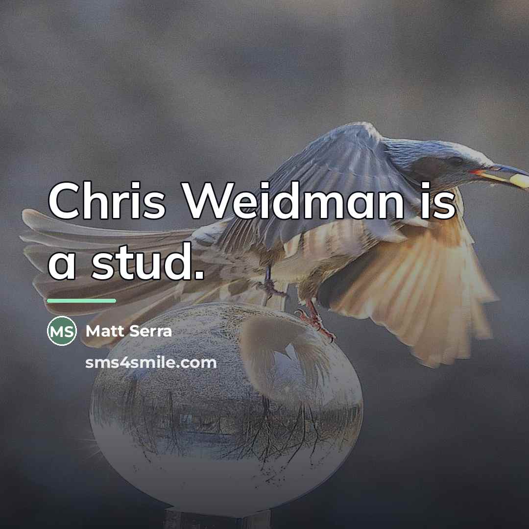 “Chris Weidman is a stud.…” quote by Matt Serra