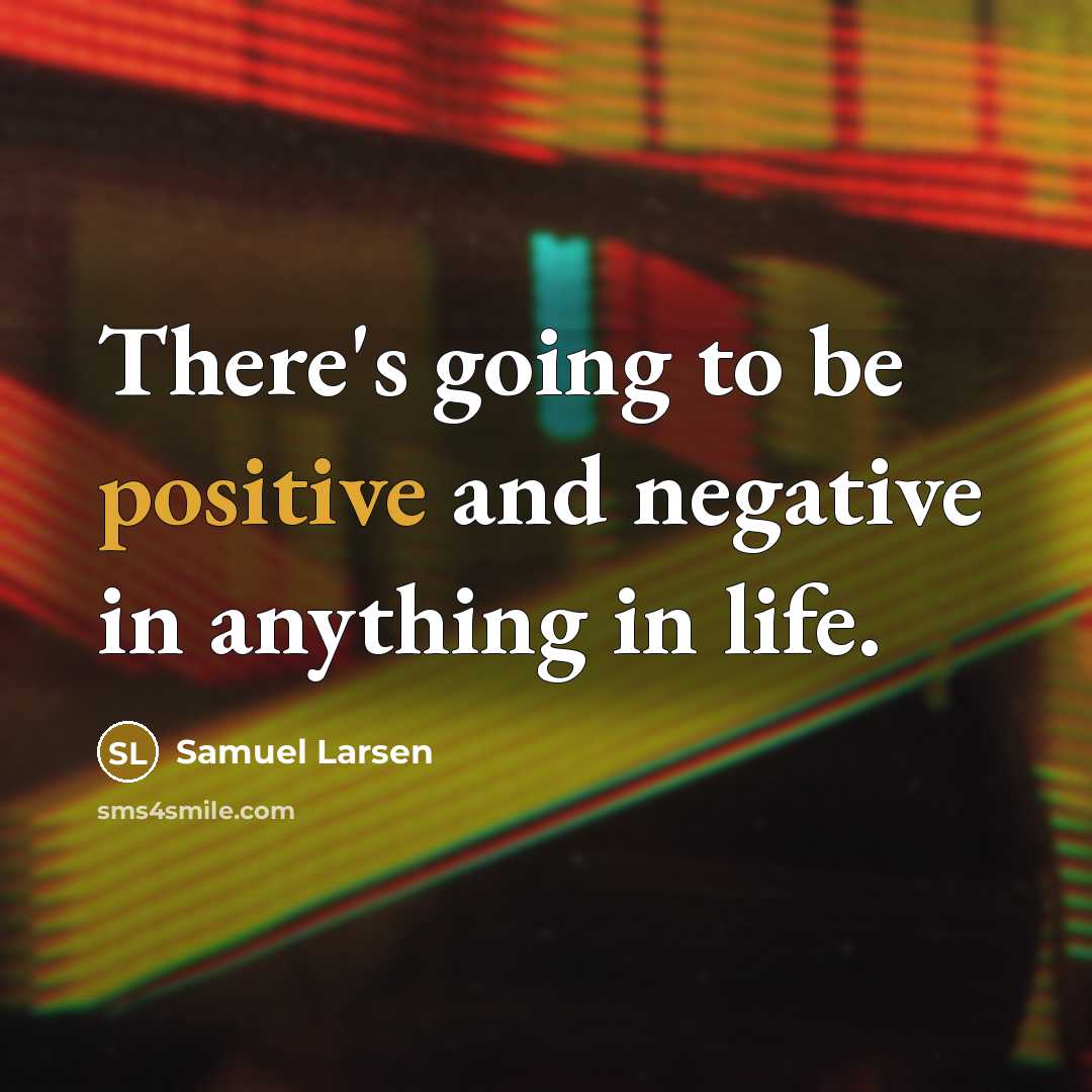 “There's going to be positive and negative in anything in…” quote by Samuel Larsen
