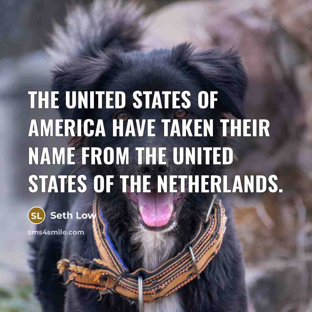 “The United States of America have taken their name from…” quote by Seth Low