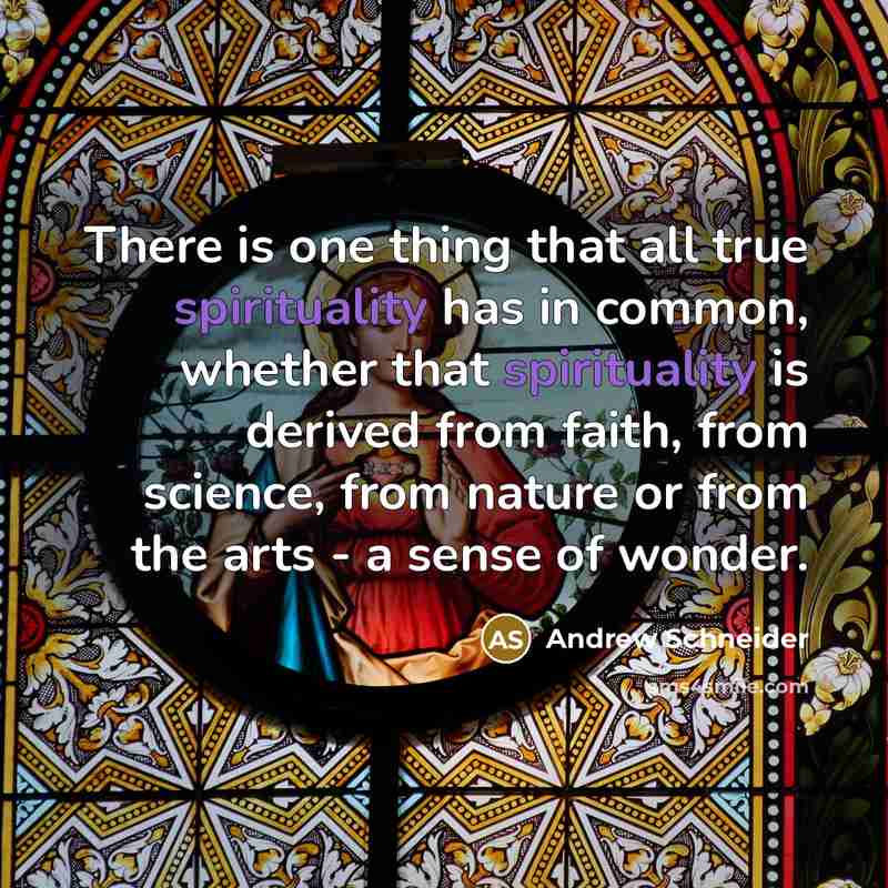 “There is one thing that all true spirituality has in…” quote by Andrew Schneider