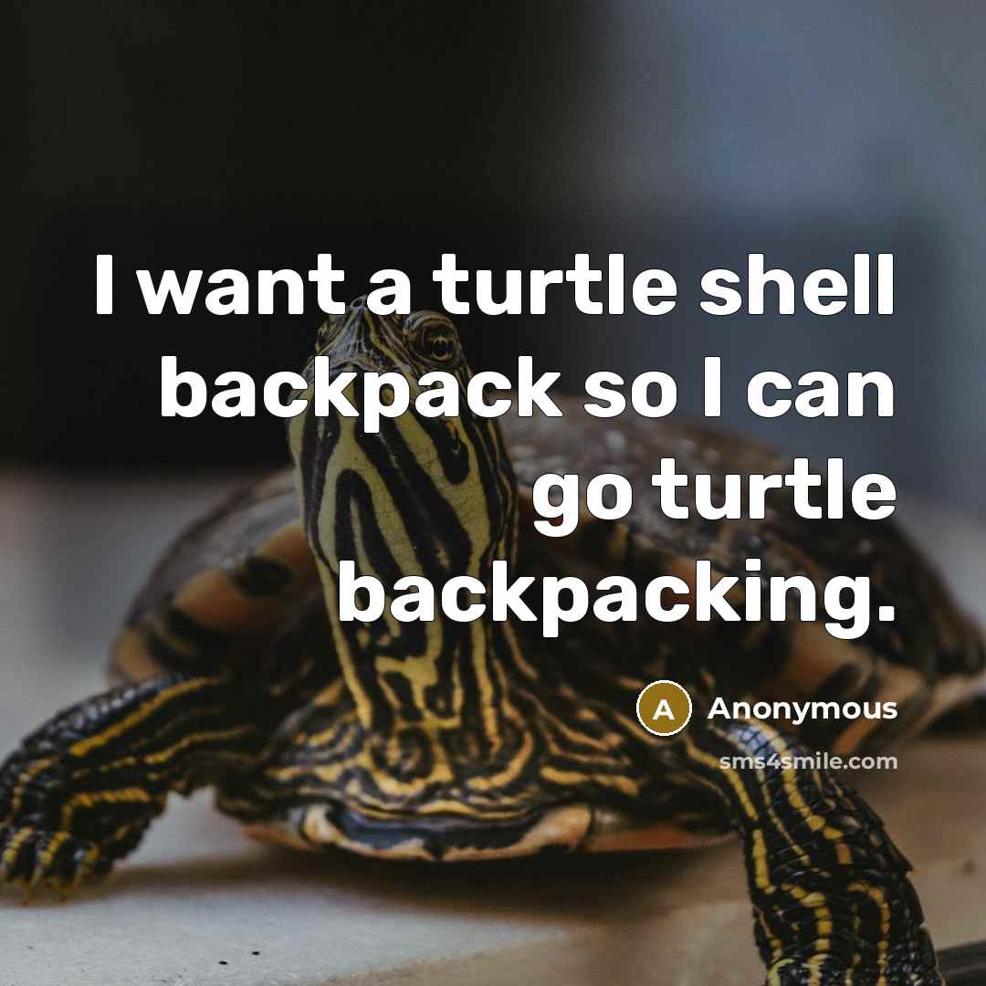 “I want a turtle shell backpack so I can go turtle backpacking.” quote by Anonymous
