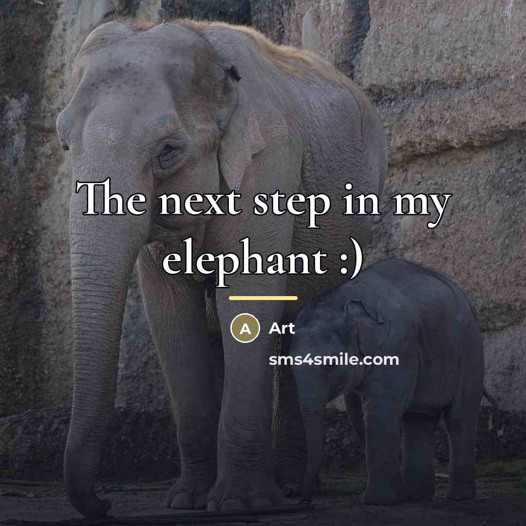 “The next step in my elephant :)…” quote by Art