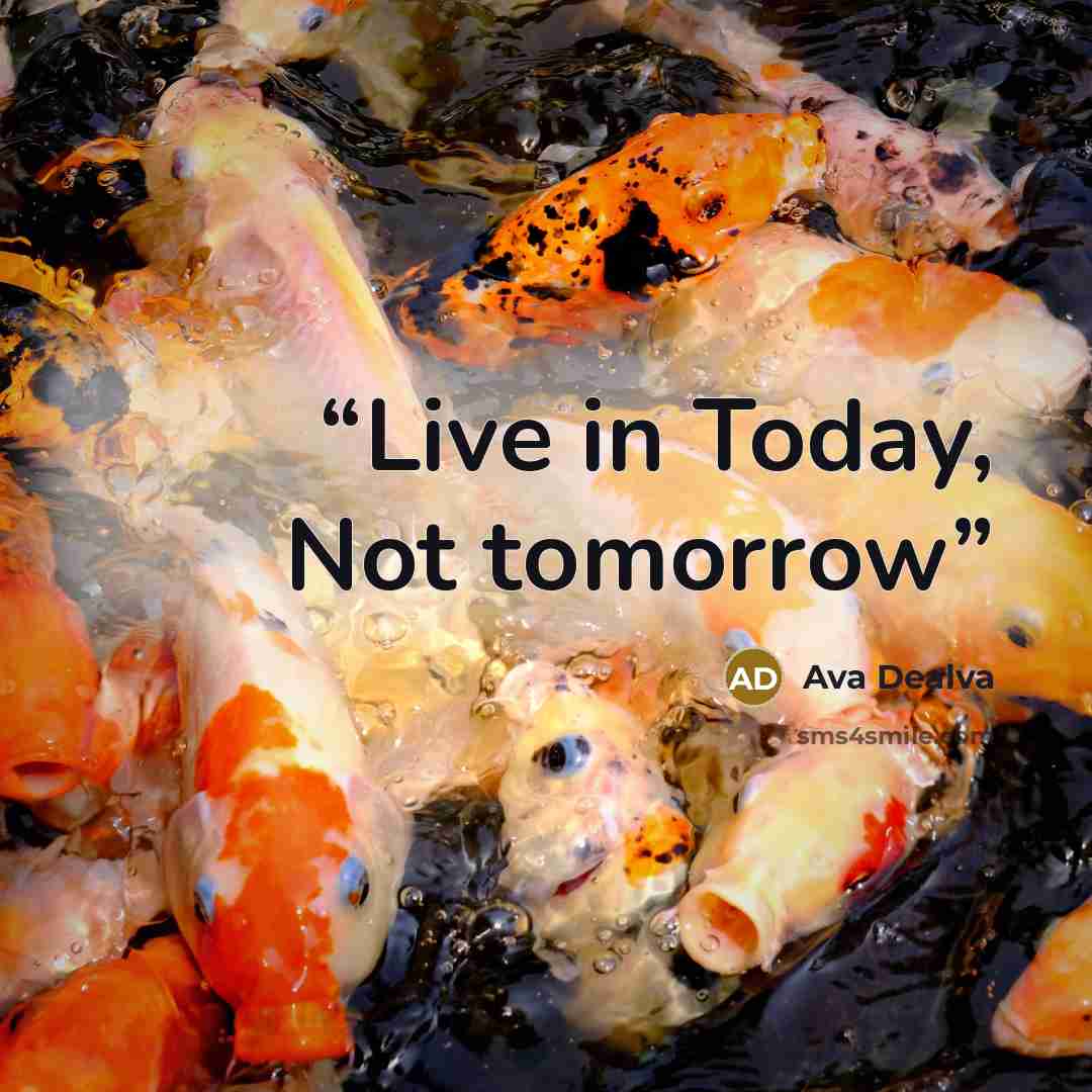 “Live in Today, Not tomorrow” quote by Ava Dealva