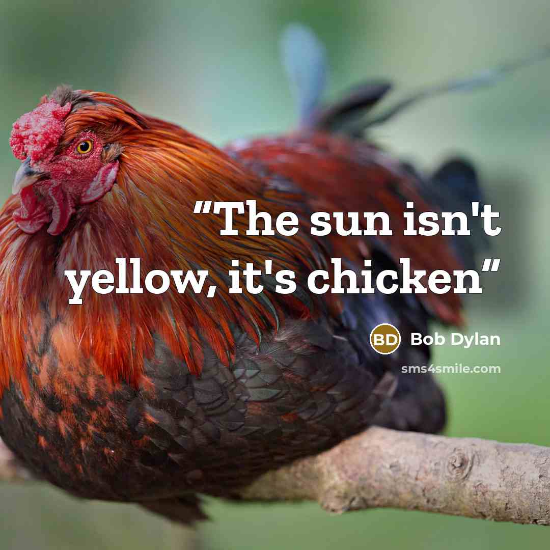 “The sun isn't yellow, it's chicken” quote by Bob Dylan
