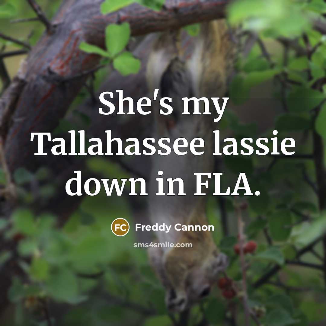 “She's my Tallahassee lassie down in FLA.…” quote by Freddy Cannon
