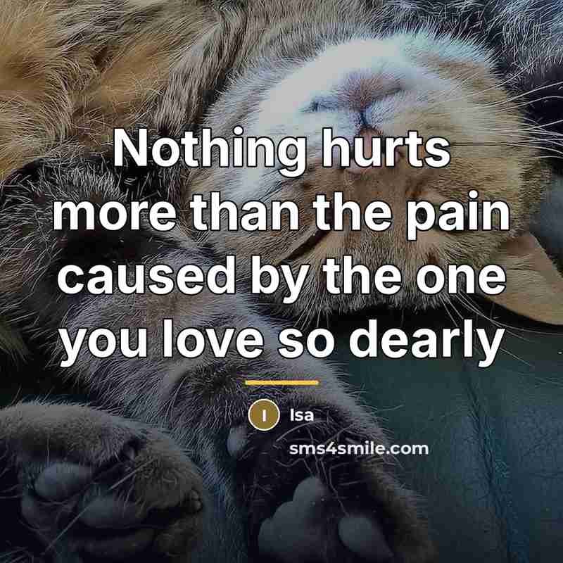 “Nothing hurts more than the pain caused by the one…” quote by Isa