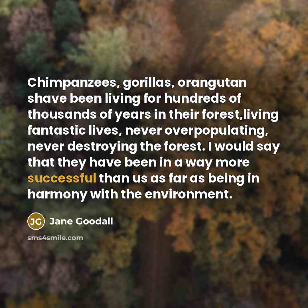 “Chimpanzees, gorillas, orangutan shave been living for hundreds of thousands…” quote by Jane Goodall