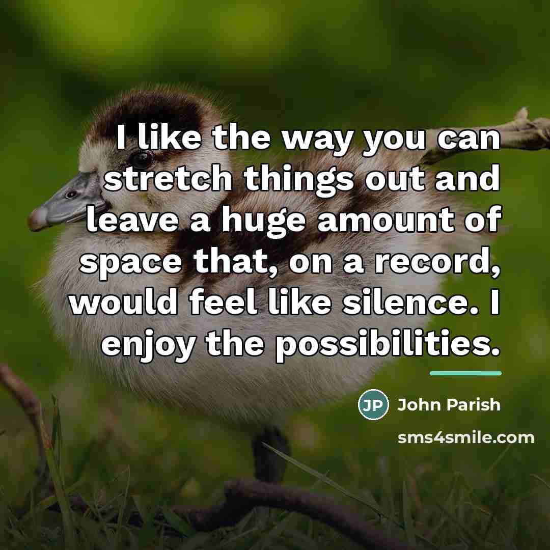 “I like the way you can stretch things out and…” quote by John Parish