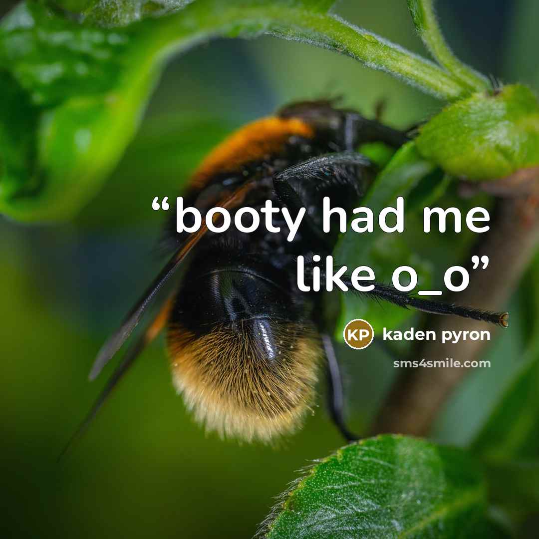 “booty had me like o_o” quote by kaden pyron