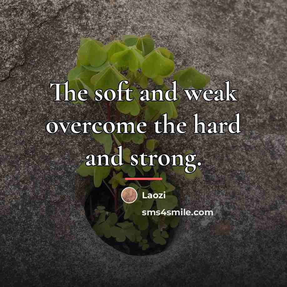 “The soft and weak overcome the hard and strong.…” quote by Laozi