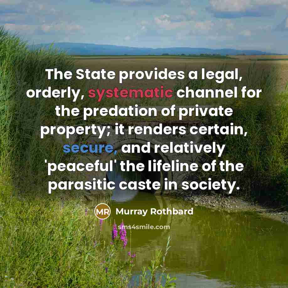 “The State provides a legal, orderly, systematic channel for the…” quote by Murray Rothbard
