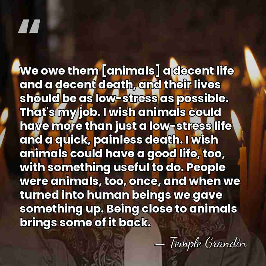 We owe them [animals] a decent life and a decent death, and&hellip; - Temple Grandin