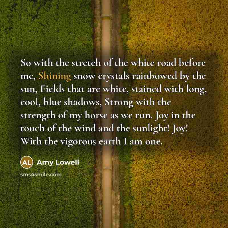 “So with the stretch of the white road before me,…” quote by Amy Lowell