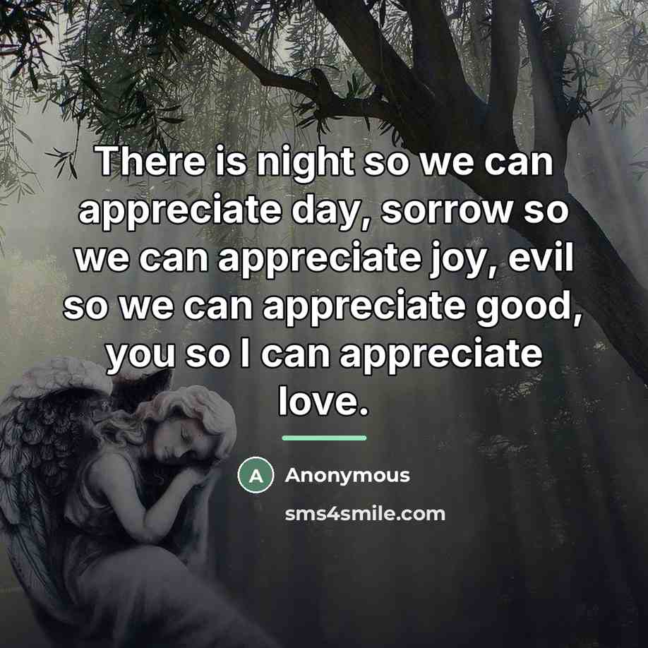 “There is night so we can appreciate day, sorrow so…” quote by Anonymous