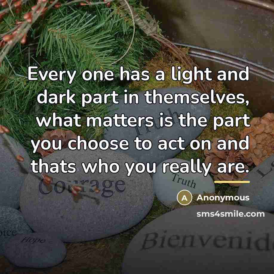 “Every one has a light and dark part in themselves,…” quote by Anonymous