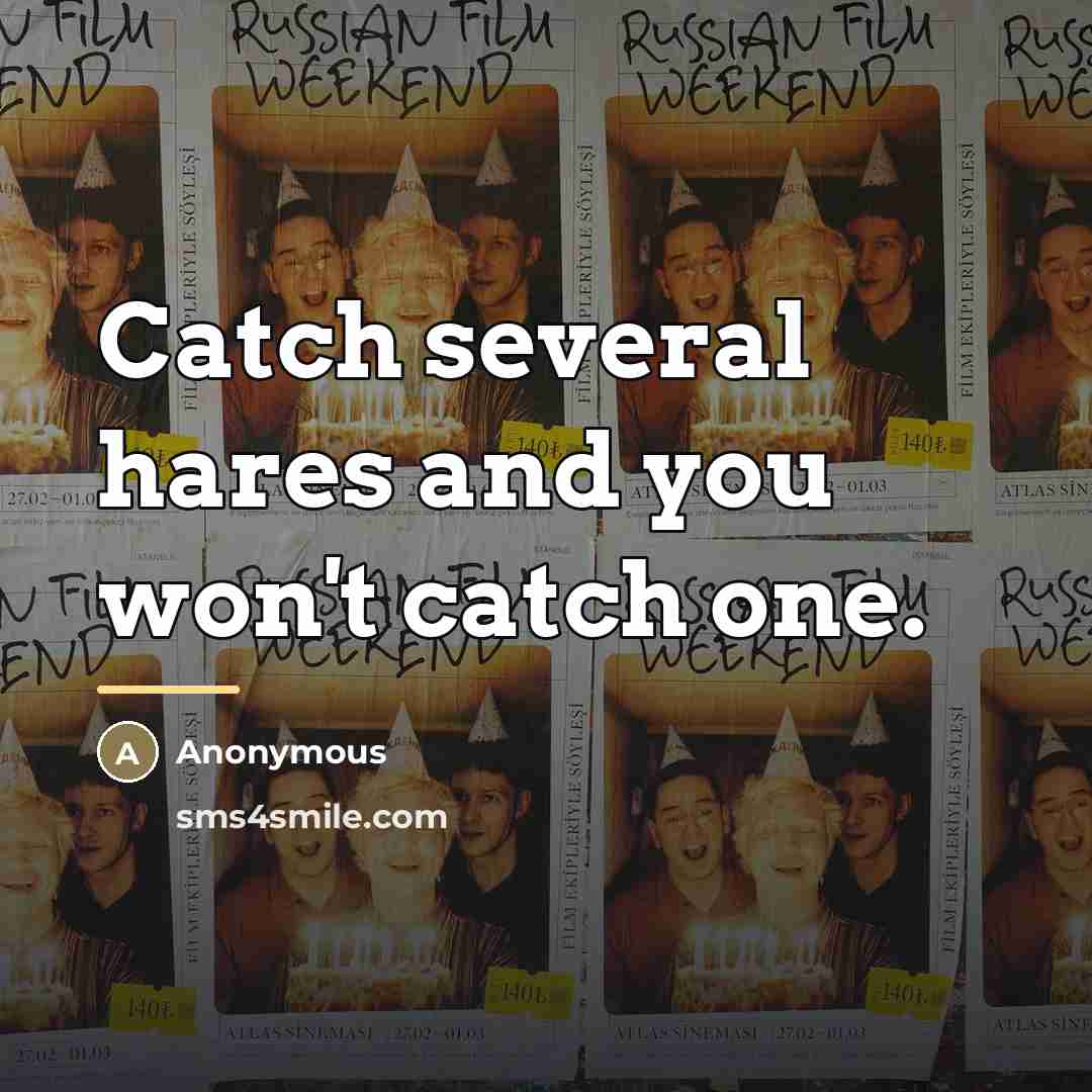 “Catch several hares and you won't catch one.…” quote by Anonymous