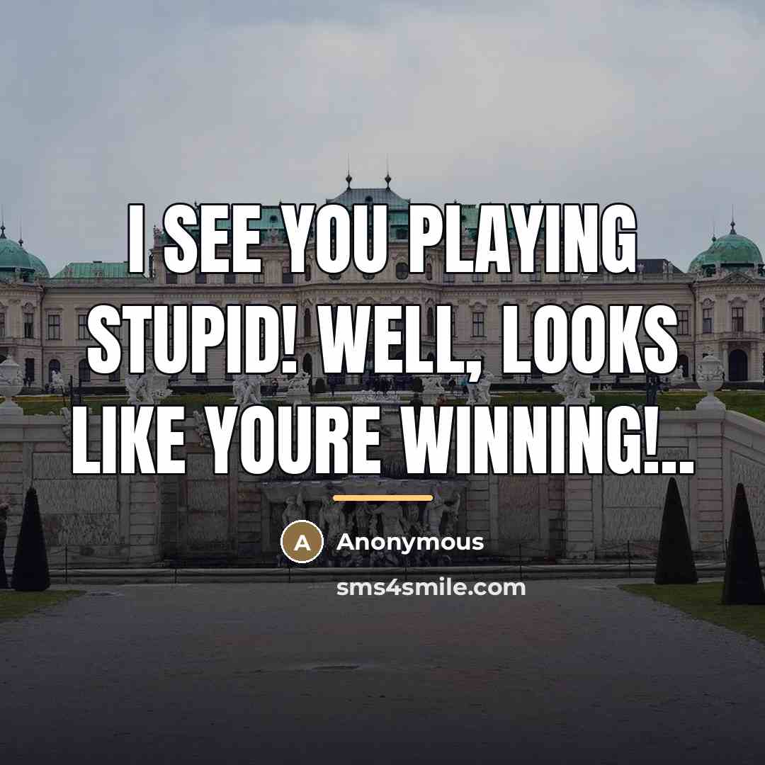 “I see you playing stupid! Well, looks like youre winning!..…” quote by Anonymous