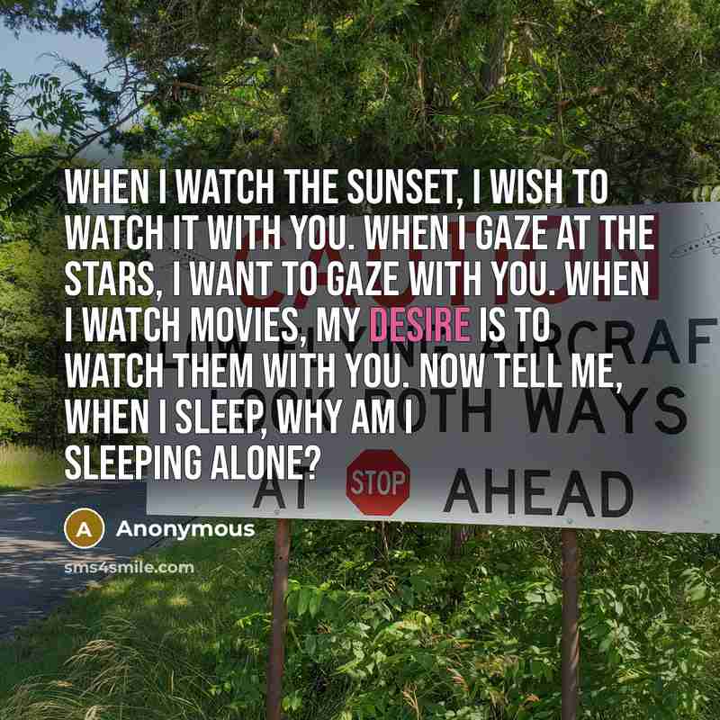 “When I watch the sunset, I wish to watch it…” quote by Anonymous