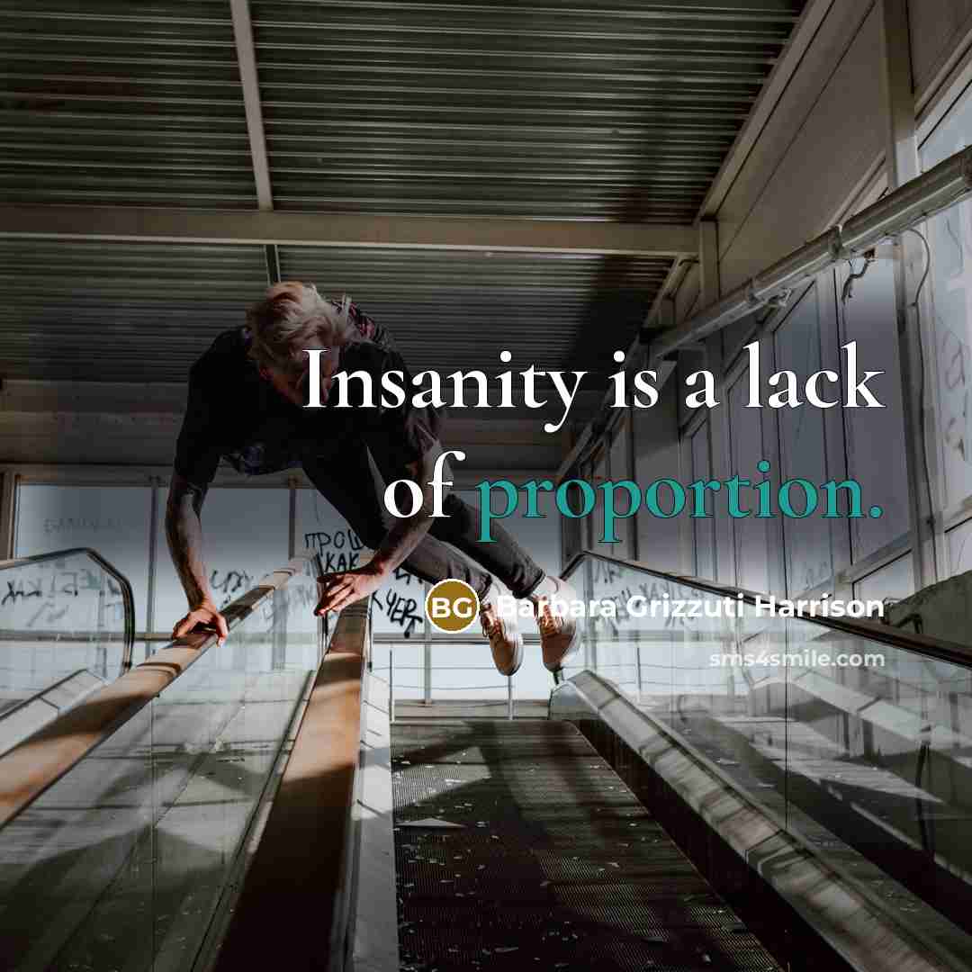 “Insanity is a lack of proportion.…” quote by Barbara Grizzuti Harrison