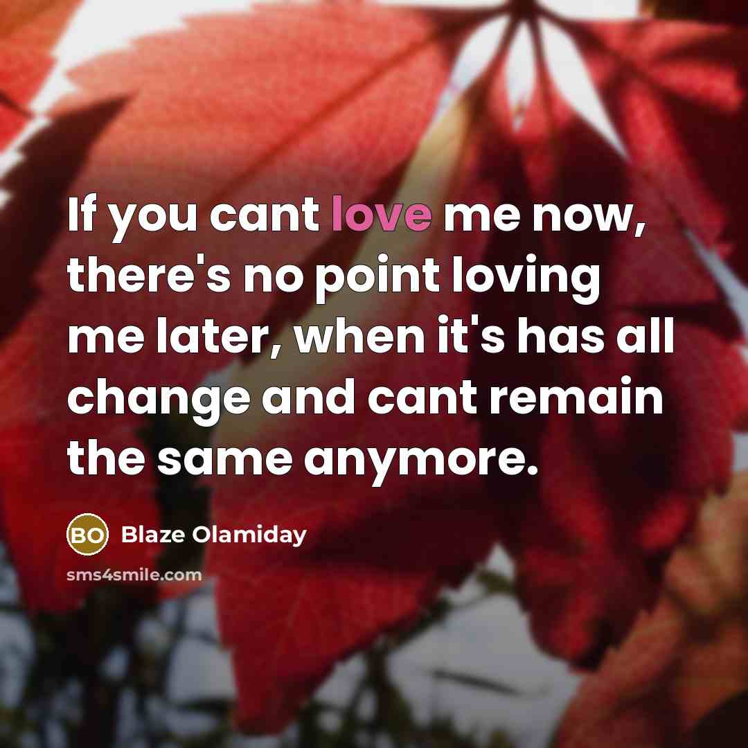 “If you cant love me now, there's no point loving…” quote by Blaze Olamiday