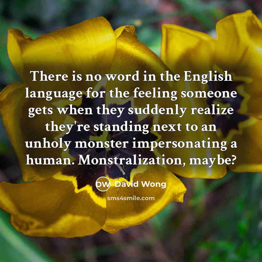 “There is no word in the English language for the…” quote by David Wong