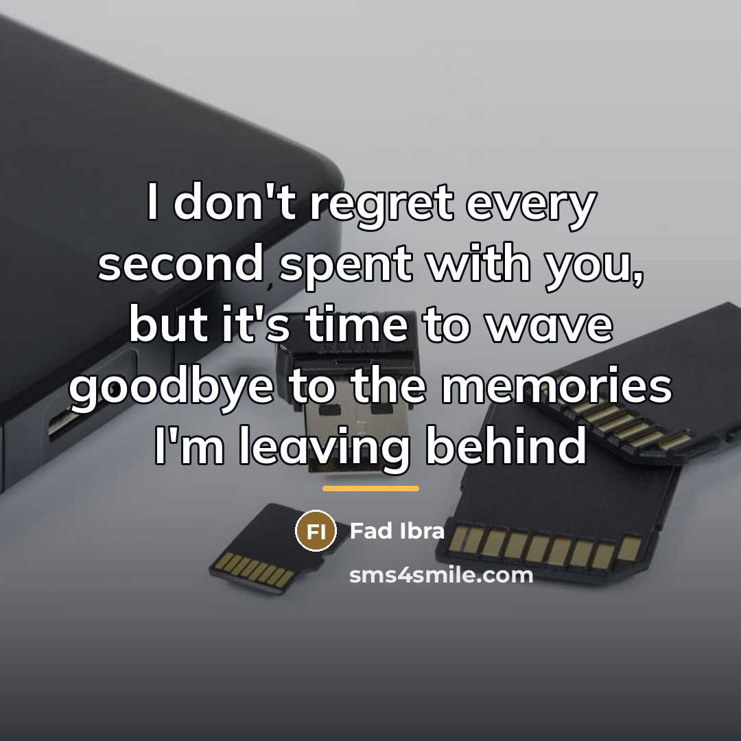 “I don't regret every second spent with you, but it's…” quote by Fad Ibra