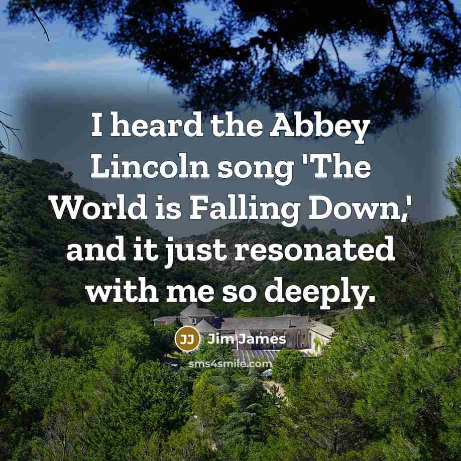 “I heard the Abbey Lincoln song 'The World is Falling…” quote by Jim James