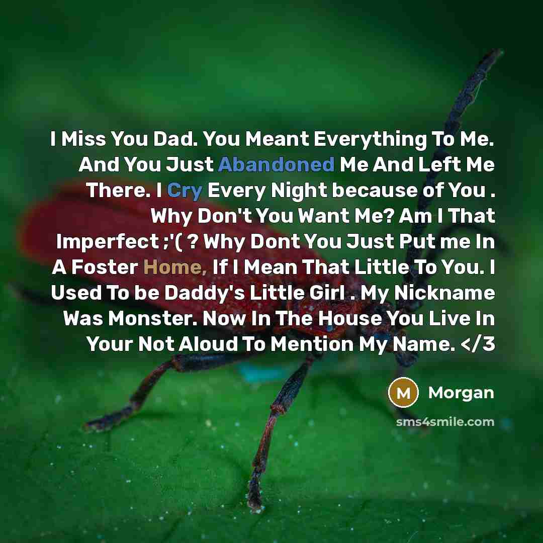 “I Miss You Dad. You Meant Everything To Me. And You Just Abandoned Me And Left Me There. I Cry Every Night because of You . Why Don't You Want Me? Am I That Imperfect ;'( ? Why Dont You Just Put me In A Foster Home, If I Mean That Little To You. I Used To be Daddy's Little Girl . My Nickname Was…” quote by Morgan