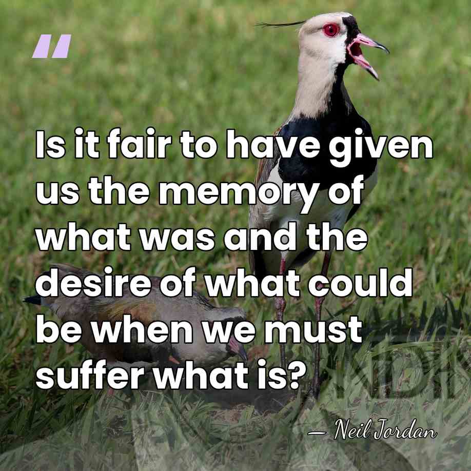 Is it fair to have given us the memory of what was&hellip; - Neil Jordan