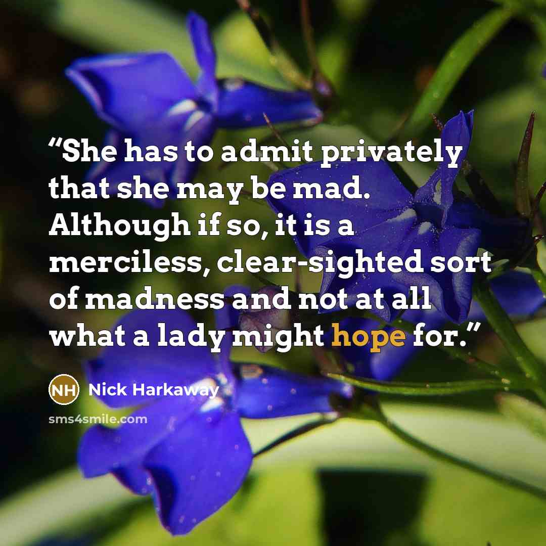 “She has to admit privately that she may be mad. Although if so, it is a merciless, clear-sighted sort of madness and not at all what a lady might hope for.” quote by Nick Harkaway