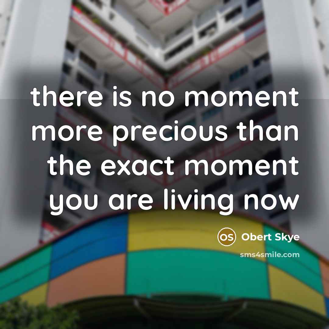 “there is no moment more precious than the exact moment…” quote by Obert Skye
