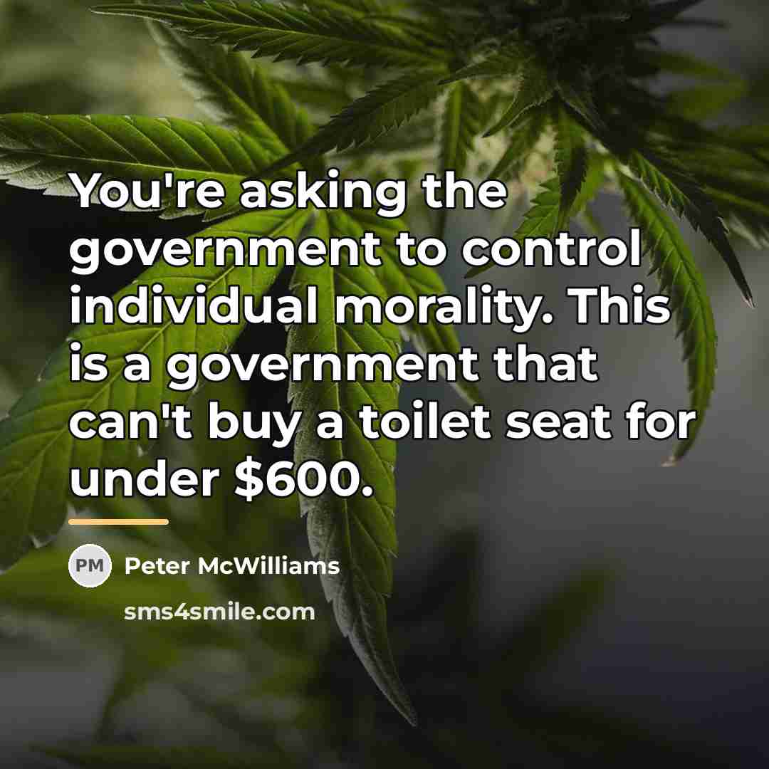 “You're asking the government to control individual morality. This is…” quote by Peter McWilliams