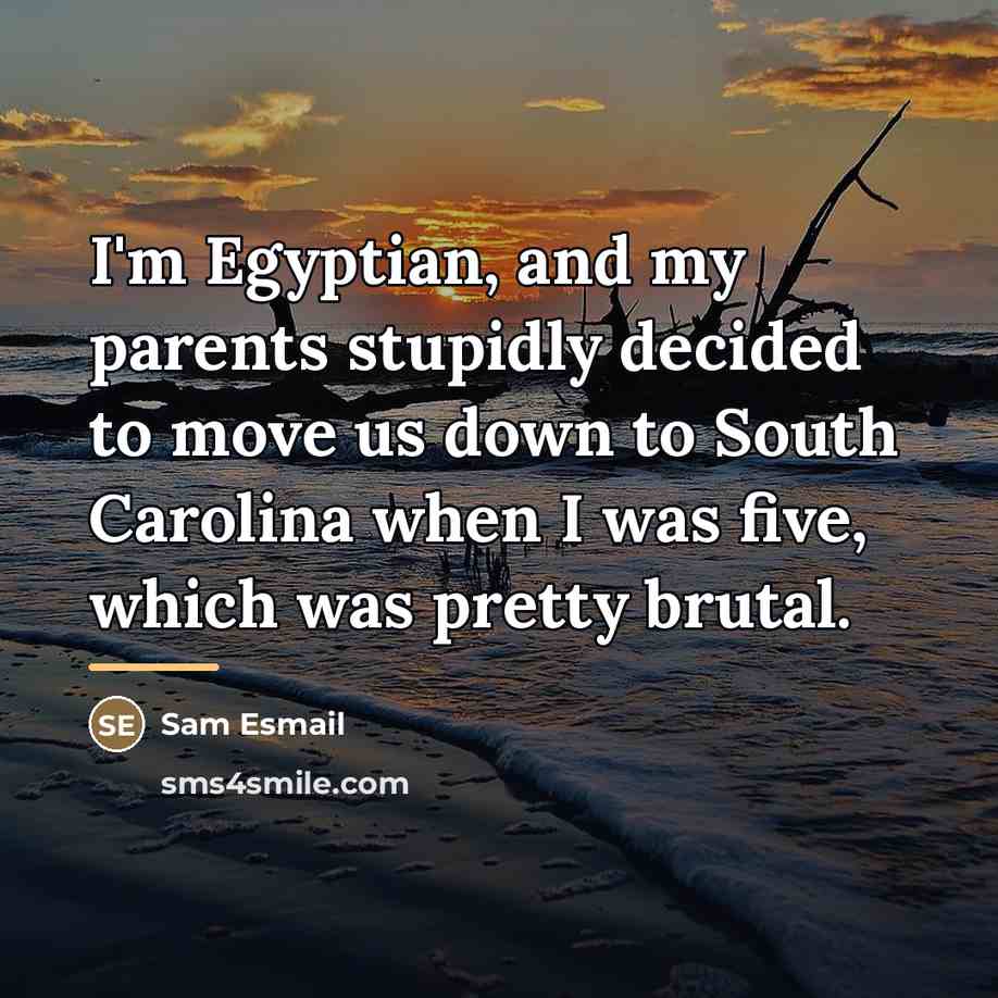 “I'm Egyptian, and my parents stupidly decided to move us…” quote by Sam Esmail